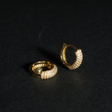 Benjamin Earring