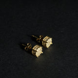Carlos Earring