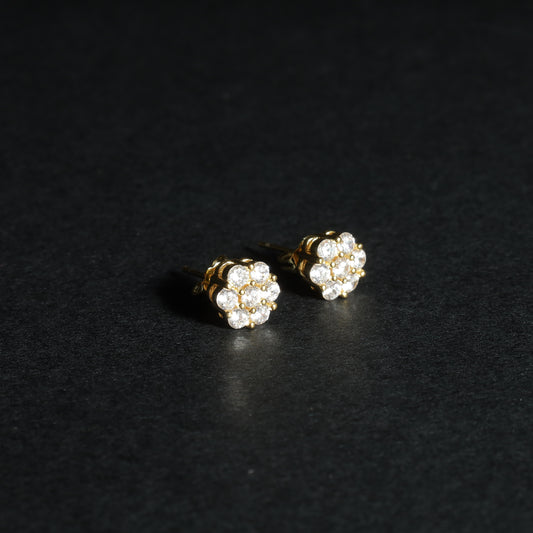 Noah Earring