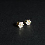 Noah Earring