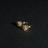 Noah Earring