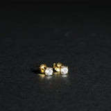 Paul Earring