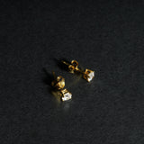 Paul Earring