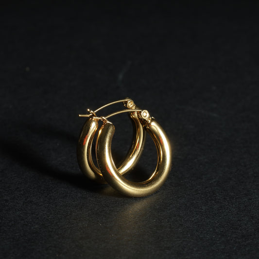Earrings 4