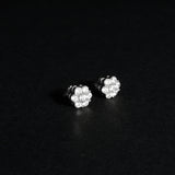 Noah Earring