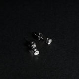 Paul Earring